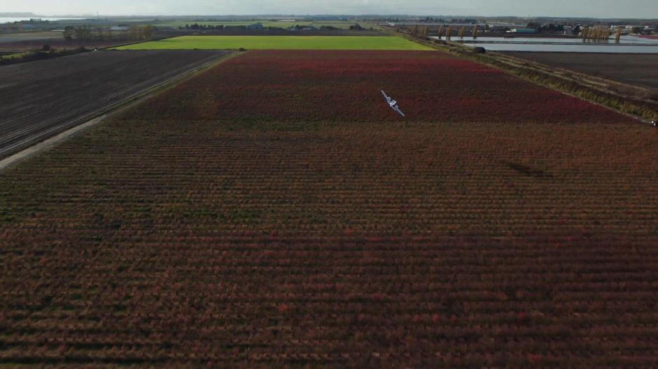 The crop duster flies over a field.