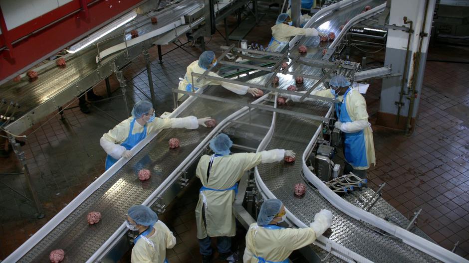 Workers organize brains on the conveyor belt.
