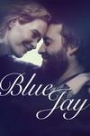 Poster for Blue Jay.