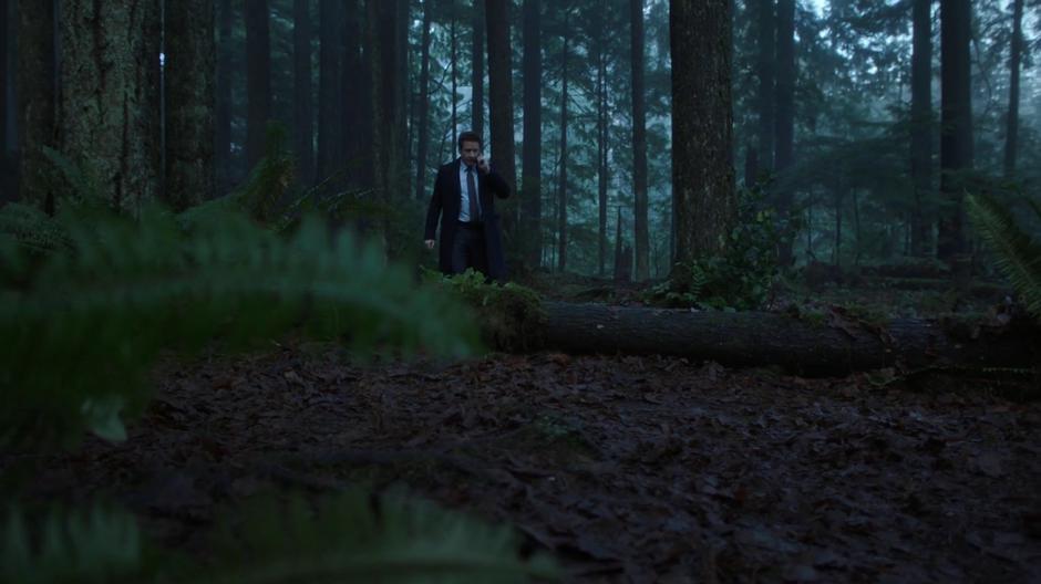 Mulder talks to Scully on the phone while walking through the foggy forest.