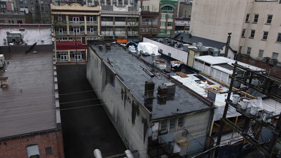 The killer ziplines between the two rooftops.