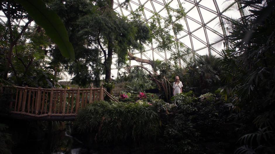 Kara walks around the inside of the lush dome.