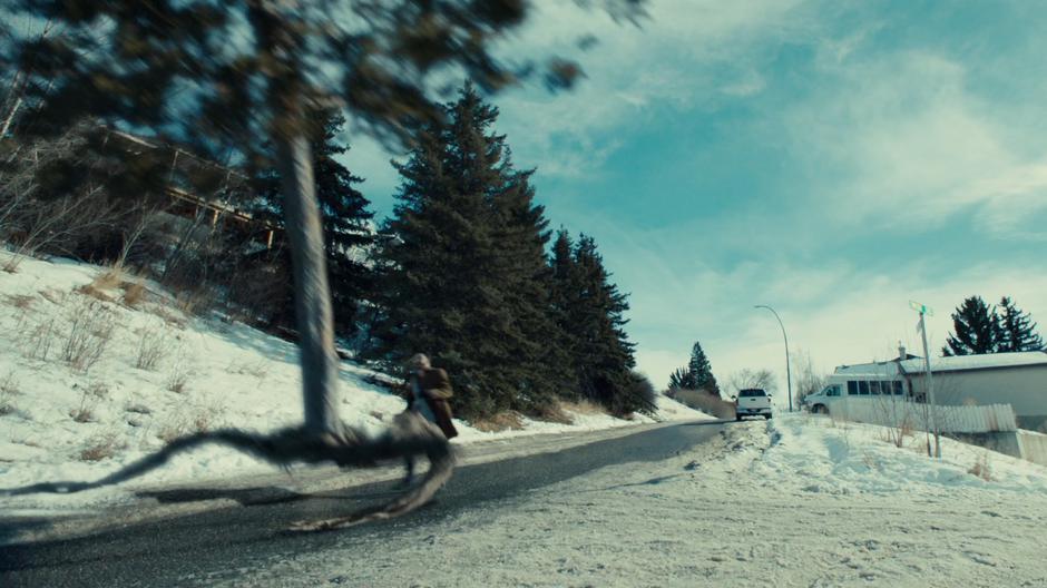 A tree jumps in front of the Revenant as he runs down the road.