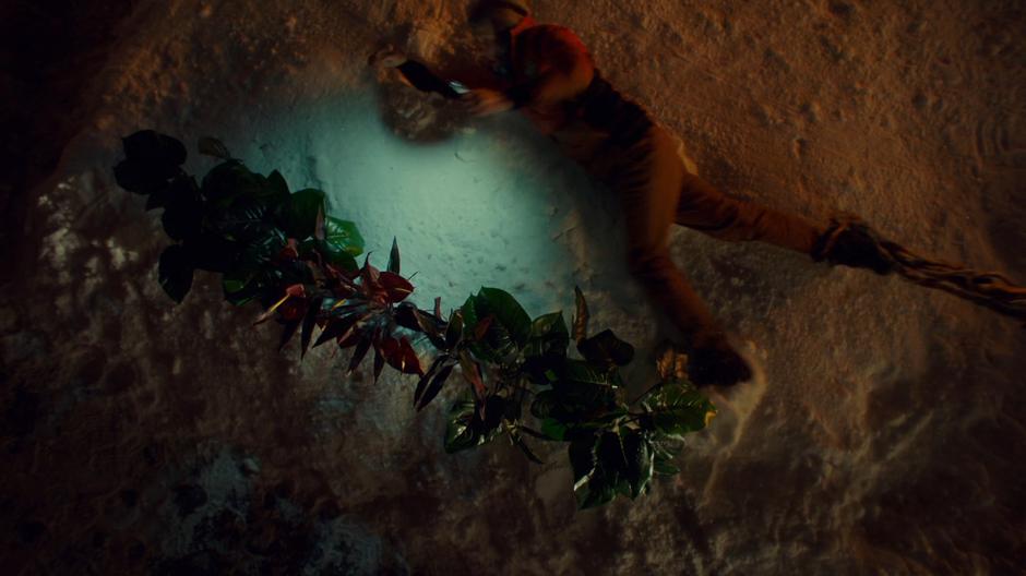 Robin is dragged away by a root from the murder tree.