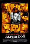Poster for Alpha Dog.