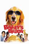 Poster for Bailey's Billion$.