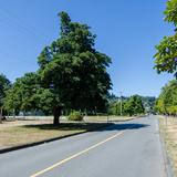 Photograph of Belmont Avenue (between Trimble & Discovery).