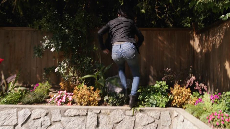 Zari hops on the flower box to leap over the fence.