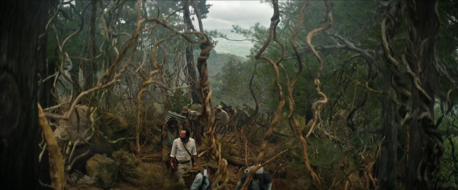 Vogel walks in the middle of a long train of people through the jungle.
