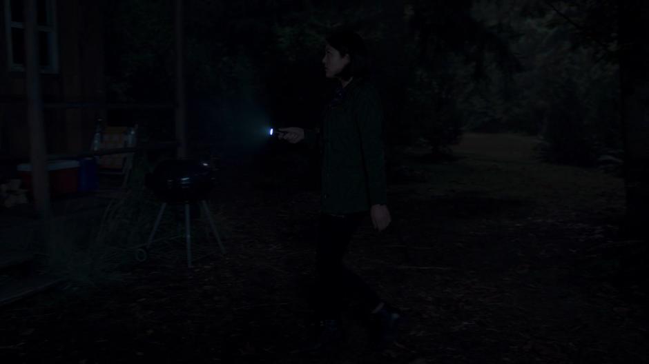 Niko walks over to the cabin with her flashlight.