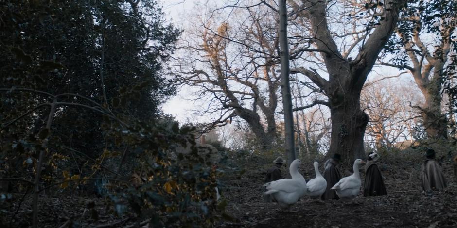 The townspeople walk towards the lake through the woods.