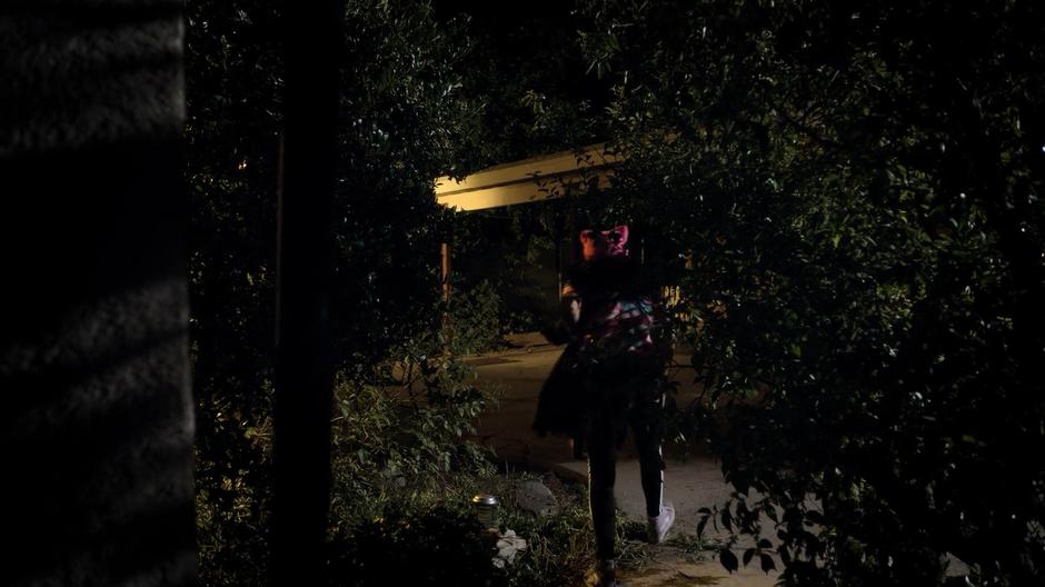 Molly walks through the bushes and away from the house.