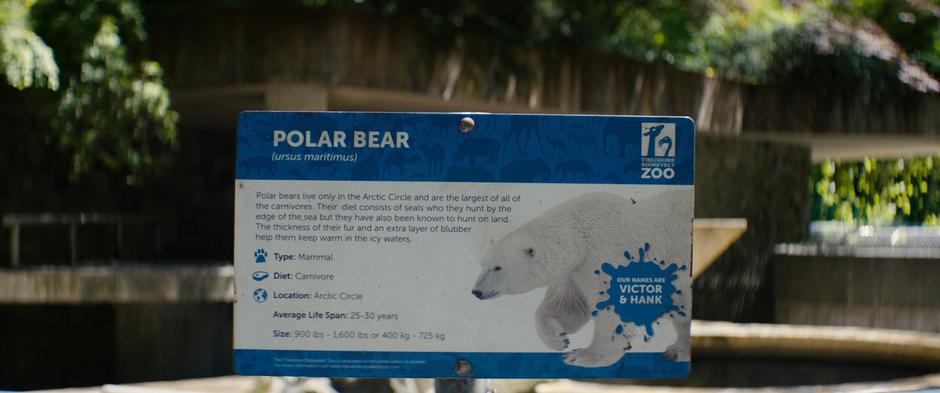 Sign talking about the polar bears in the enclosure.