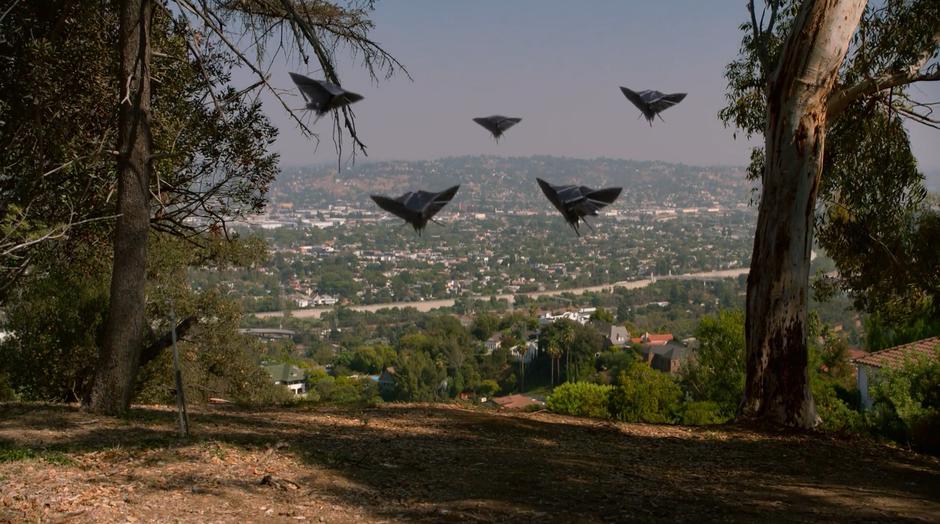 Five drones rise above the hill into the forest.
