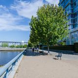 Photograph of Seawall (between Strathmore & Homer).