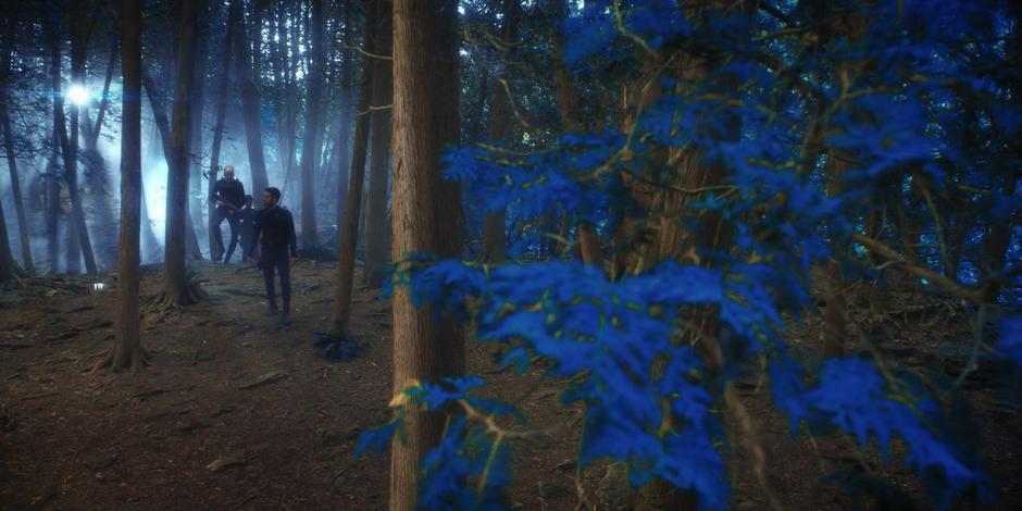 Ash, Saru, and Michael trek through the blue forest.