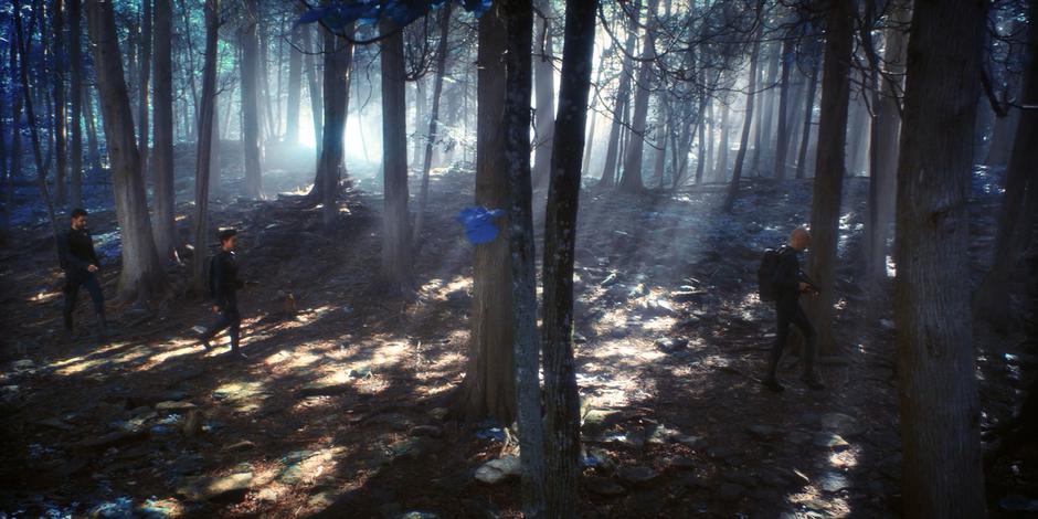 Ash, Michael, and Saru travel through the forest.