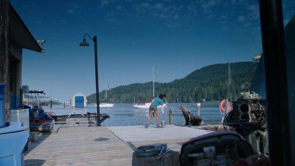 Maddie tries to feed a sea lion on the dock but finds it doesn't want to eat.