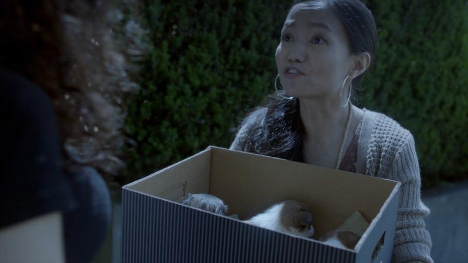 A woman holds up a box of puppies for Kady.