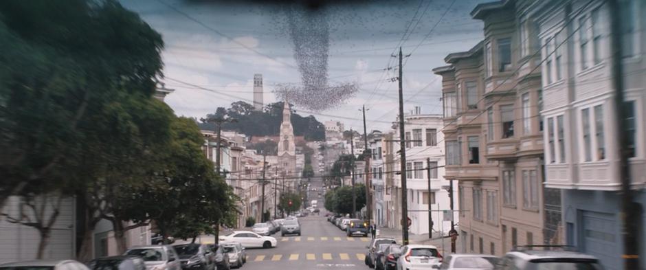 An arrow made of a swarm of ants appears in the sky about the street.