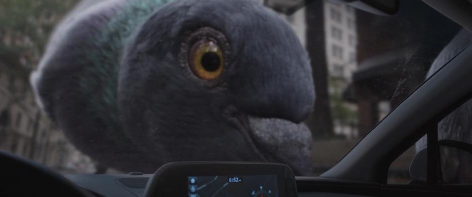 A giant pigeon pecks at Hope's shrunken car.