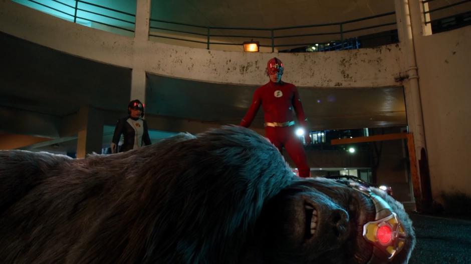 Nora and Barry slowly walk over to Grodd after knocking him to the ground.