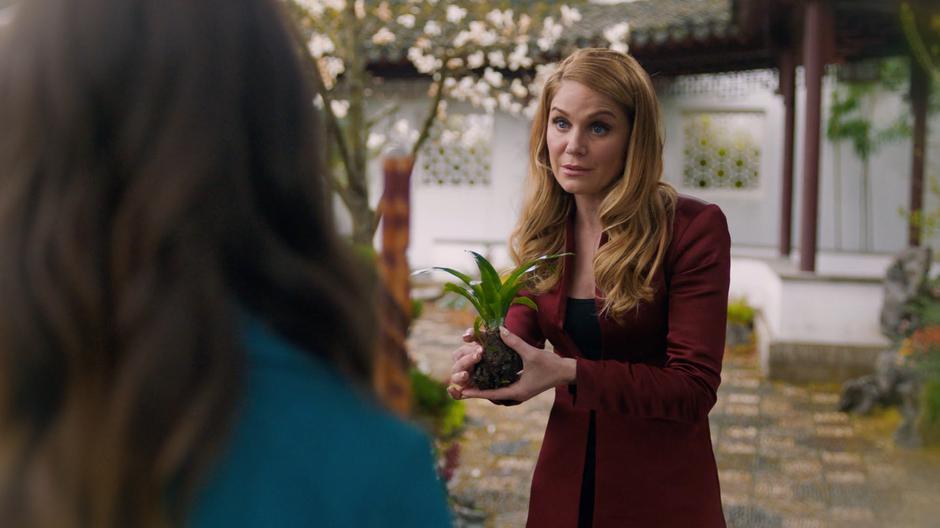 Charity shows Maggie and Harry the plant she needs for her spell.