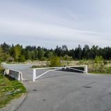 Photograph of Colebrook Road Forest Access Road.