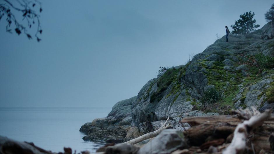 Ryn stands on the cliff overlooking the ocean.