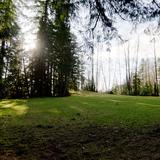 Photograph of Capilano Park.