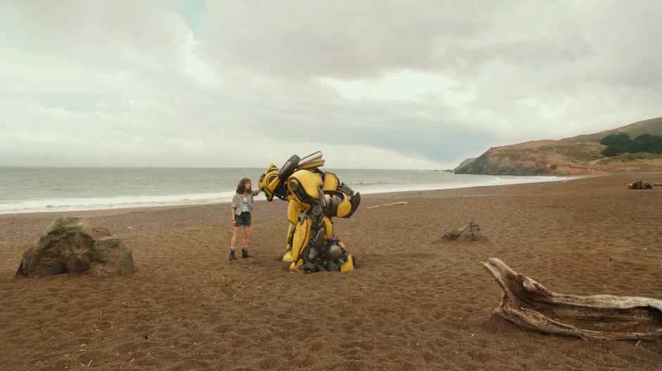 Charlie pats Bumblebee on the head while they stand in the sand.