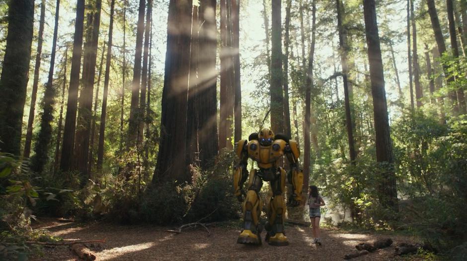 Charlie talks with Bumblebee while they walk through the woods.