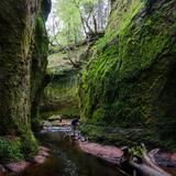 Photograph of Finnich Glen (The Devil's Pulpit).