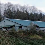 Photograph of North Shore Equestrian Center.