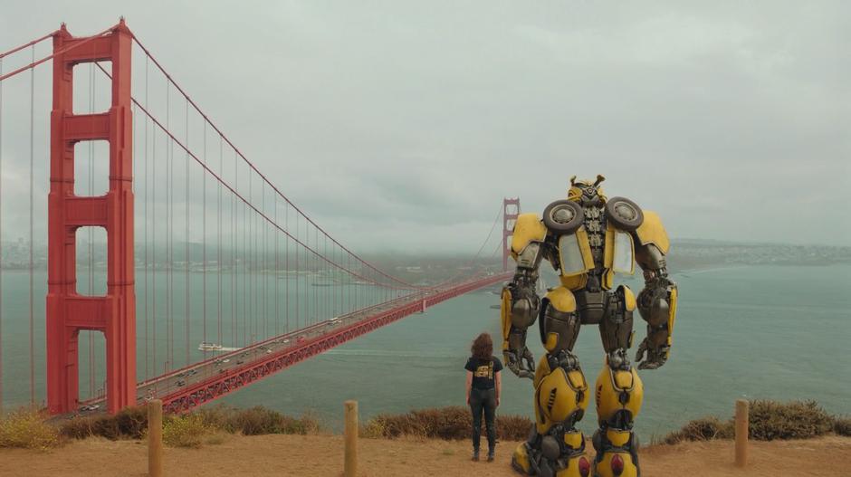 Charlie and Bumblebee stand on the edge of the cliff looking at the bridge.