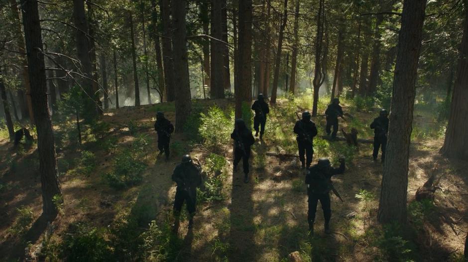 A group of soldiers pause while searching the forest.