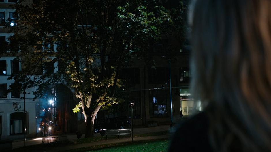 Sara looks across the plaza to a tree she used to climb with Laurel when they were kids.