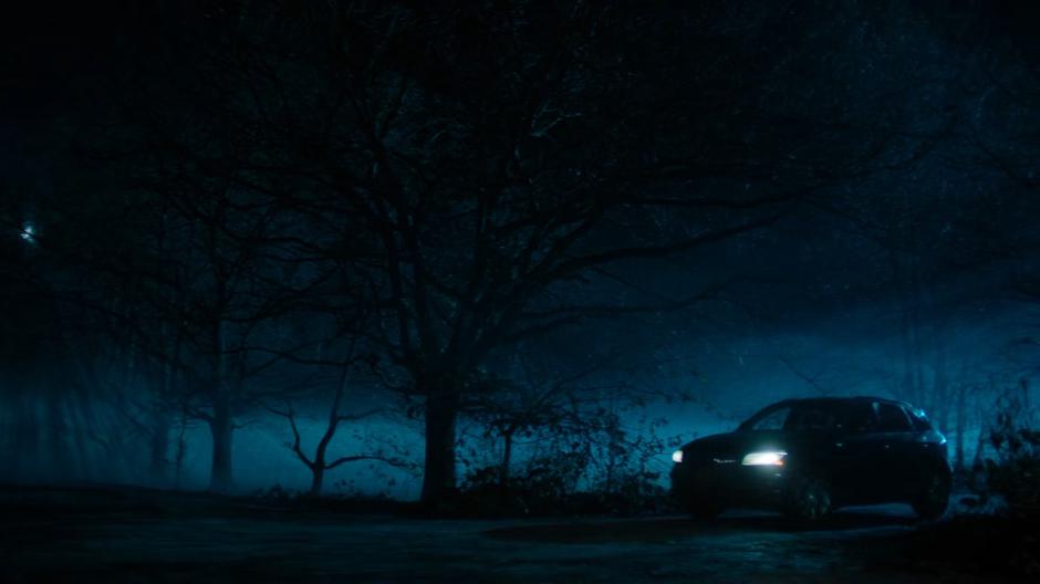A man drives his car down a foggy road at night.