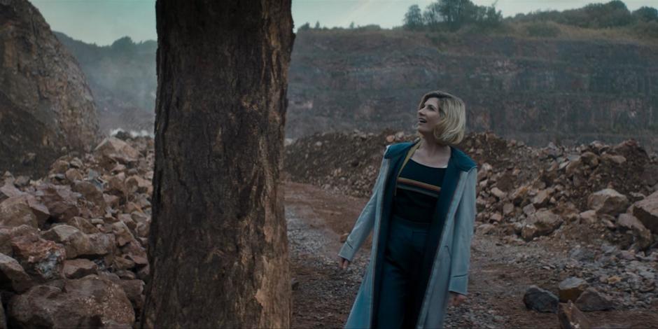 The Doctor smiles when she sees the TARDIS she used to travel has disguised itself as a tree.