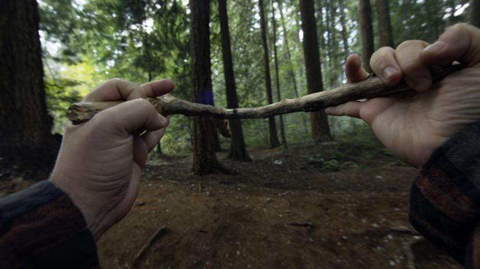 Josh uses a dowsing stick to search the forest.