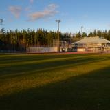 Photograph of South Surrey Athletic Park.