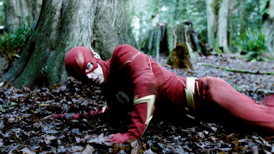 Barry lands on the forest floor and looks up at Solovar.