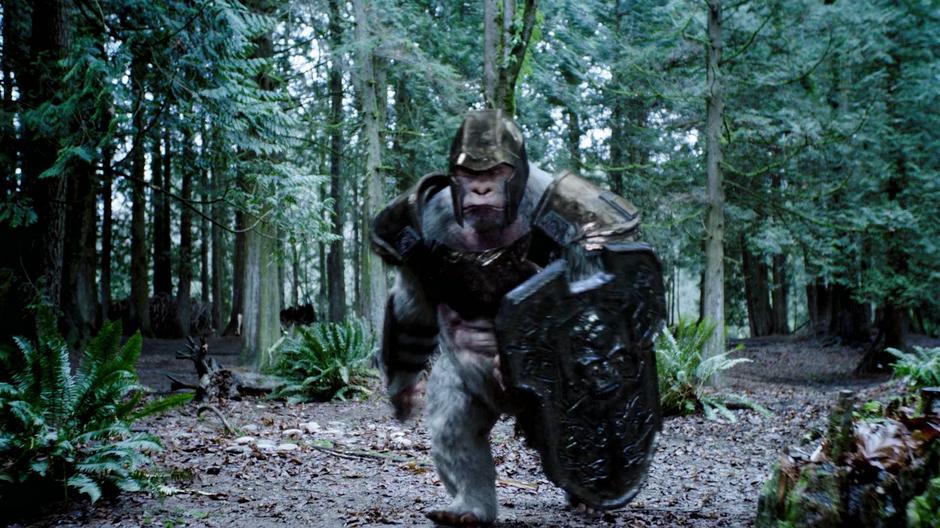 Solovar chases at the newly merged Barry and Grodd.
