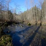 Photograph of Upper Coquitlam River Park.