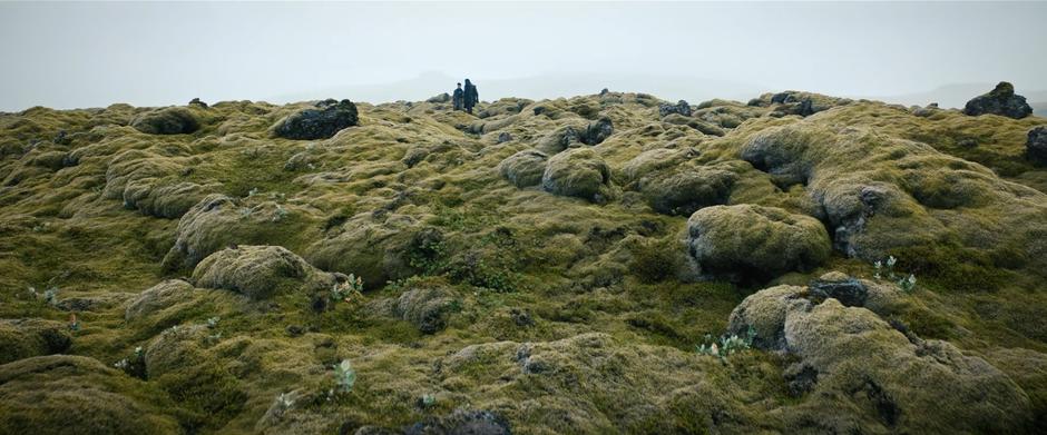 Michael and Booker walk across a field of mossy stones.