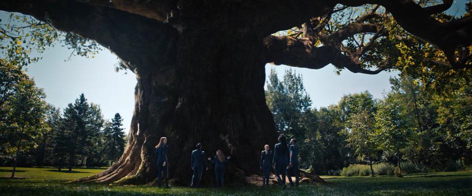 The crew members approach the massive tree as Tilly leans against it with her arms spread.