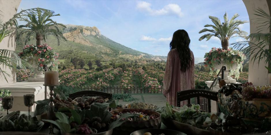 Safiyah looks out over the island's orchards.