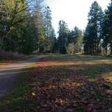 Photograph of Kwomais Point Park.