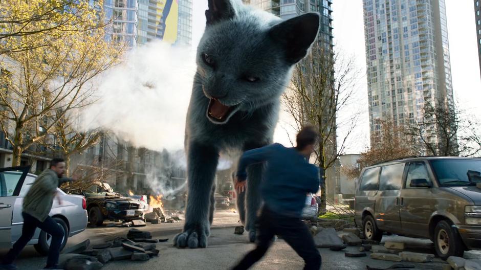 People flee is a giant cat lands in the street.