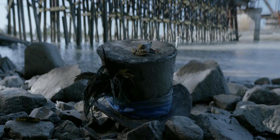 A frog sits on the top of the Mad Hatter's hat as it sits on the shore.